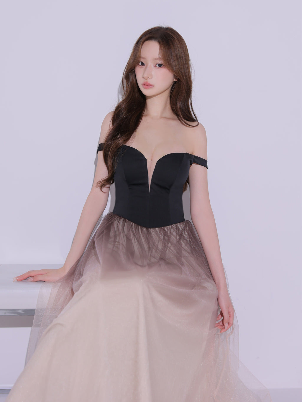 【予約】Sheer Veil Long Dress (anier4092)
